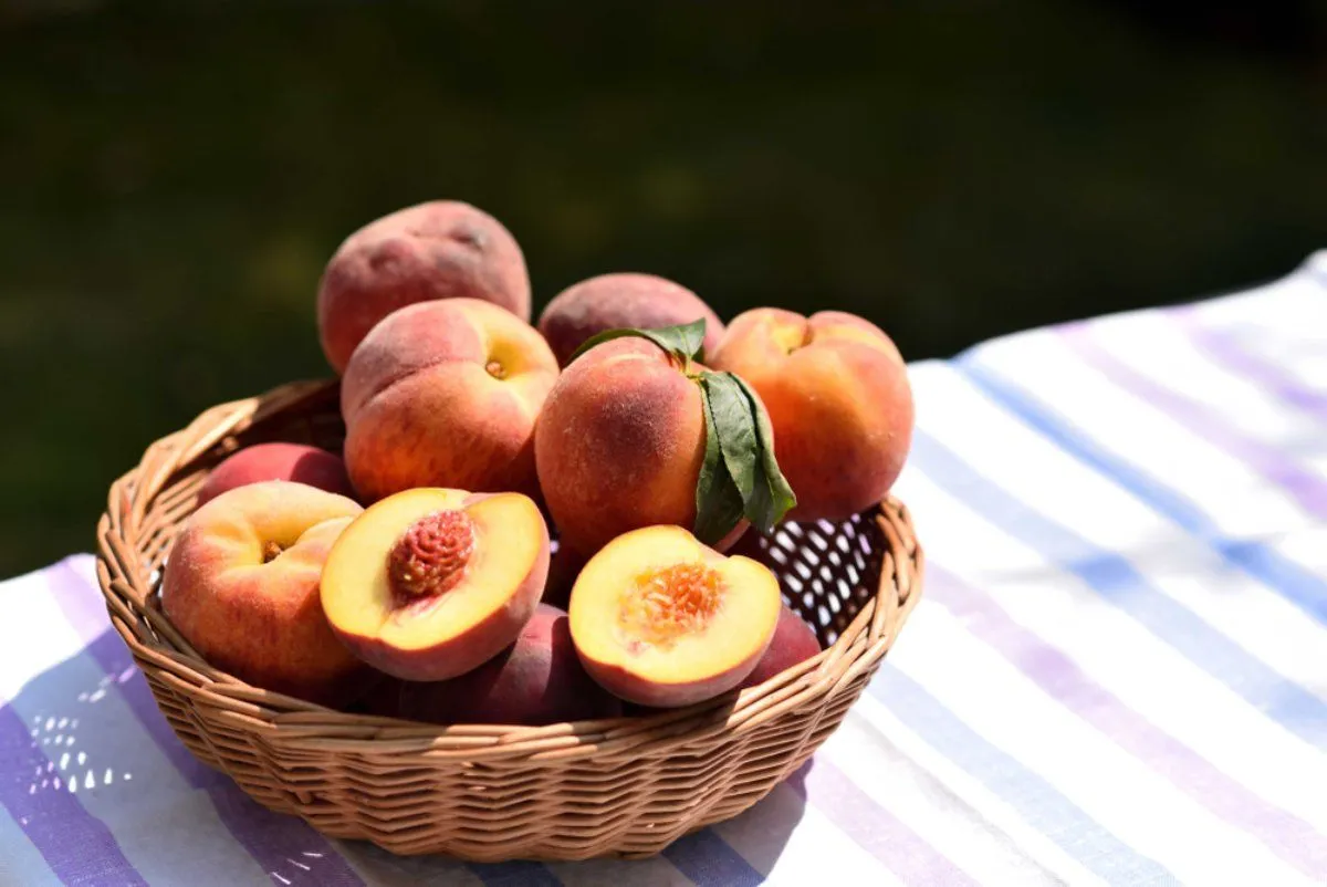 Tele van vitaminokkal! / Fotó: Shutterstock