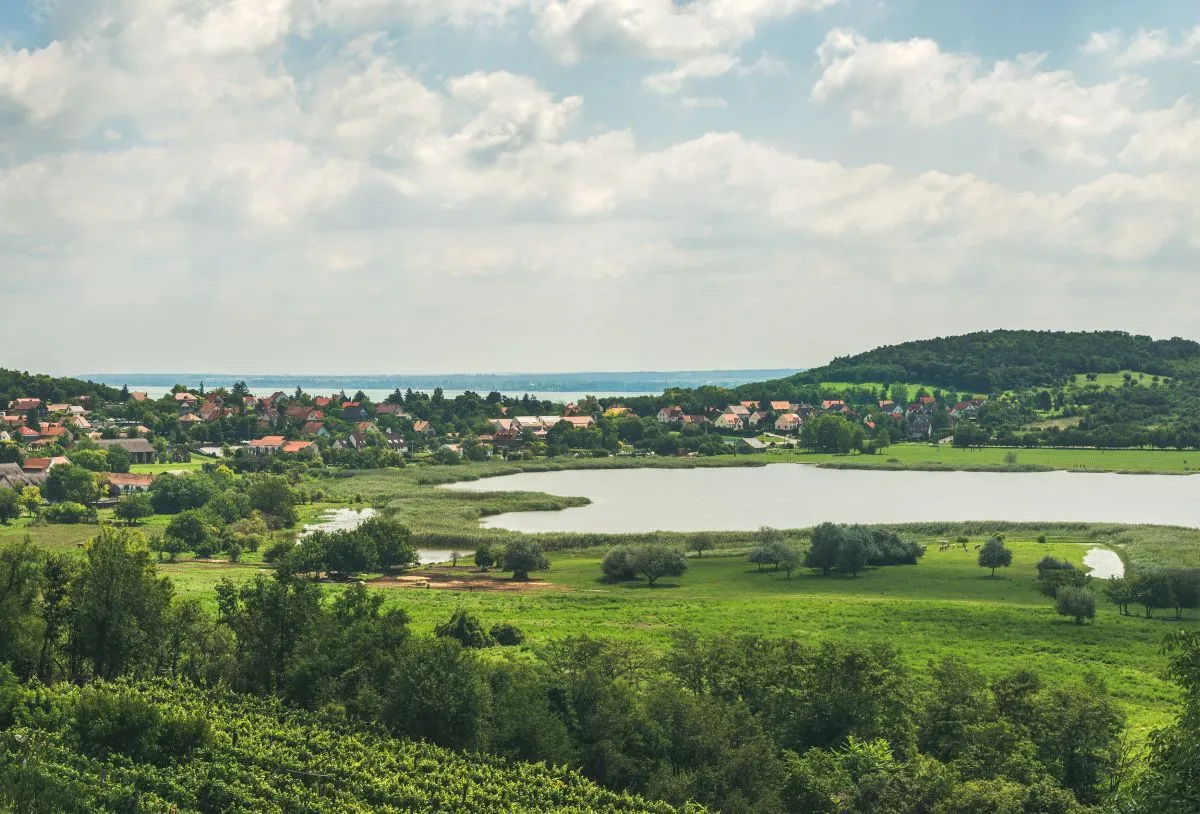 Kellemeset a hasznossal: dolgozz a Balatonon! (Fotó: Freepik.com)