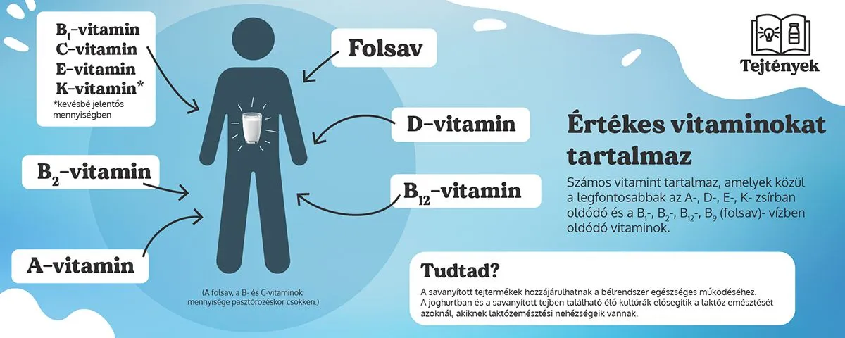 A tej rengeteg vitamint és ásványi anyagot tartalmaz /Grafika: Tej Szakmaközi Szervezet és Terméktanács