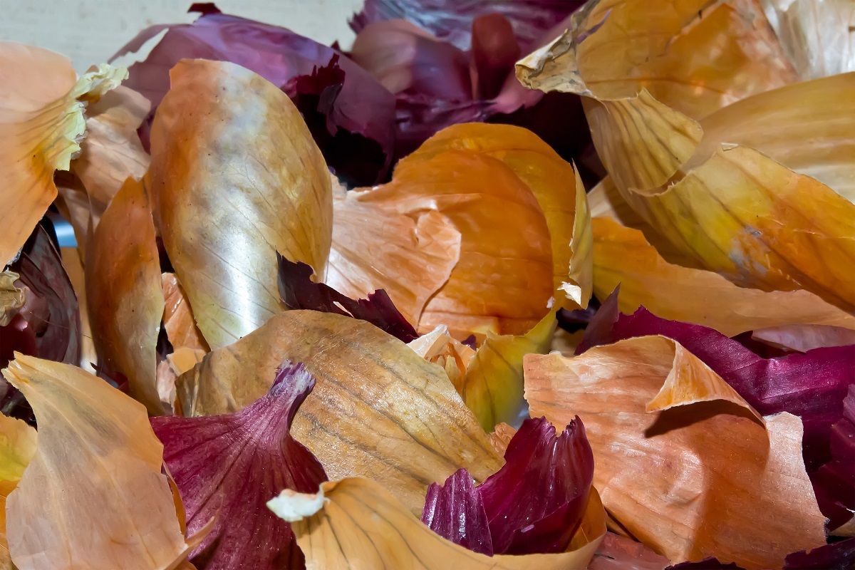 Minél többféle hagymahéjat használunk, annál jobb lesz a fűszer! /Fotó: Shutterstock