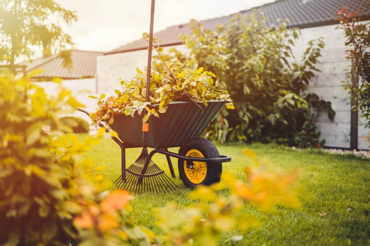 Ahhoz, hogy átvészelje a telet és jövő nyáron is szép legyen az udvarunk, ősszel el kell végeznünk néhány gyepgondozási feladatot (Fotó: Shutterstock)