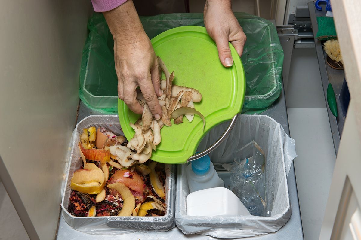 Az év elejétől Magyarországon is elindul a biohulladék elkülönített gyűjtése /Fotó: Shutterstock