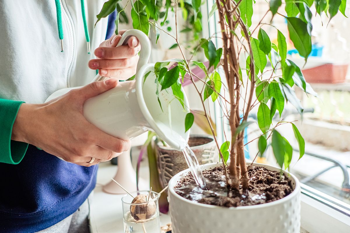 Igen költséges a hálózati vízről való locsolás /Fotó: Shutterstock