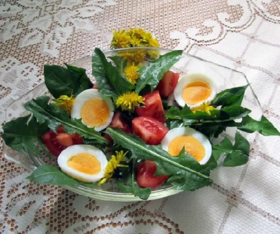 Pitypang saláta recept