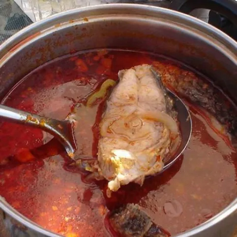 Pontyhalászlé ikrával recept