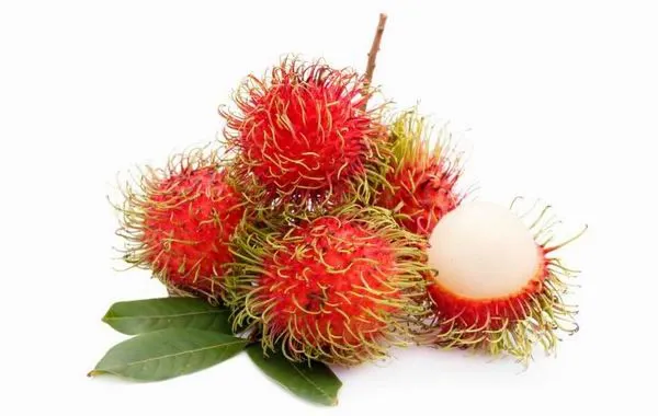 A rambután olyan, akár egy bozontos licsi – az ízeik is hasonlóak