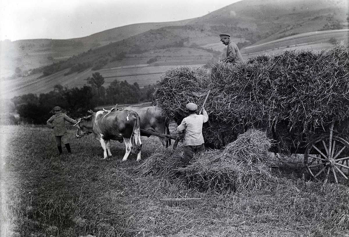 Fotó: Fortepan/Lőrinczi Ákos - 1920