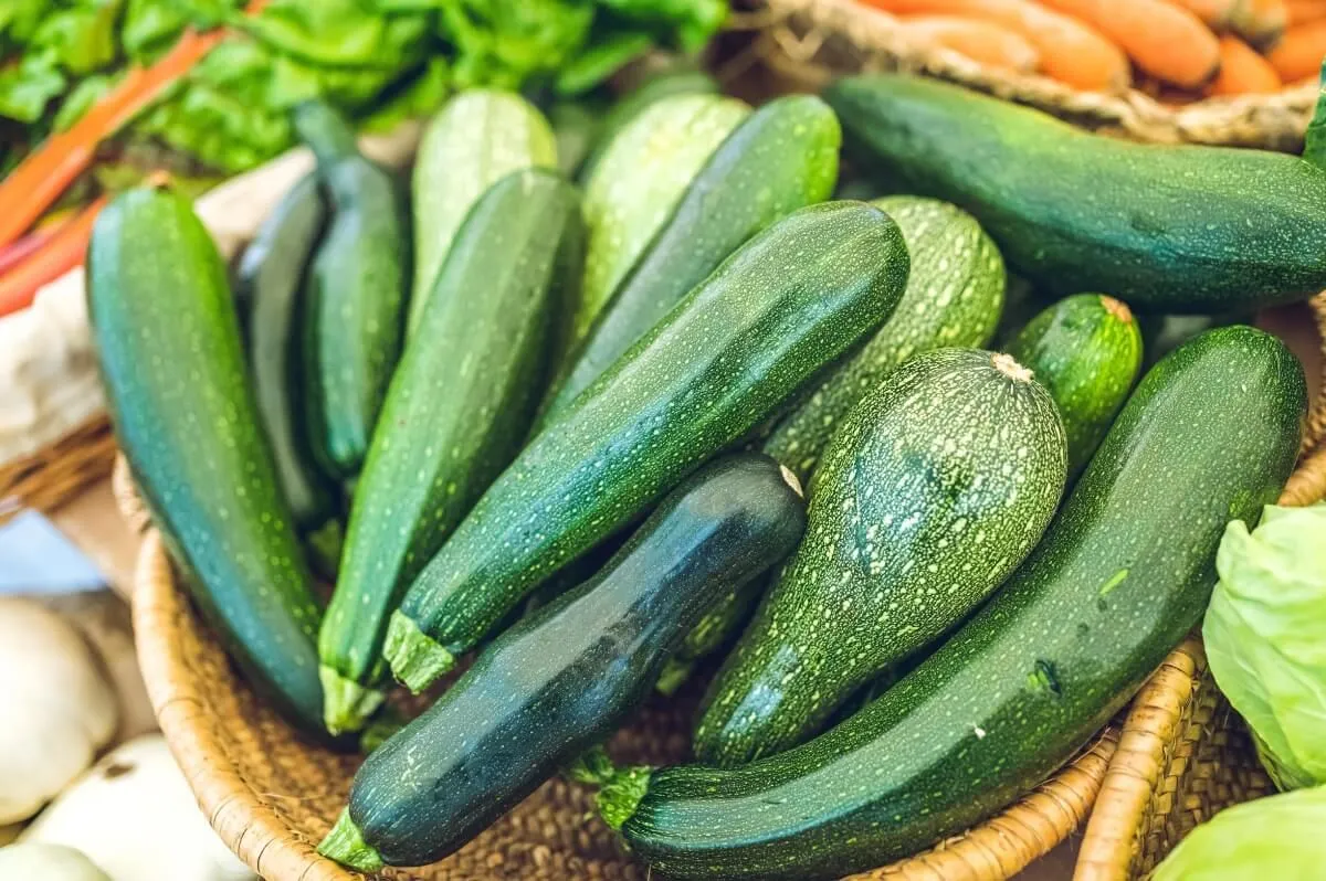 A cukkini a tökfélék közé tartozik, és könnyen gondozható (Fotó: Shutterstock)