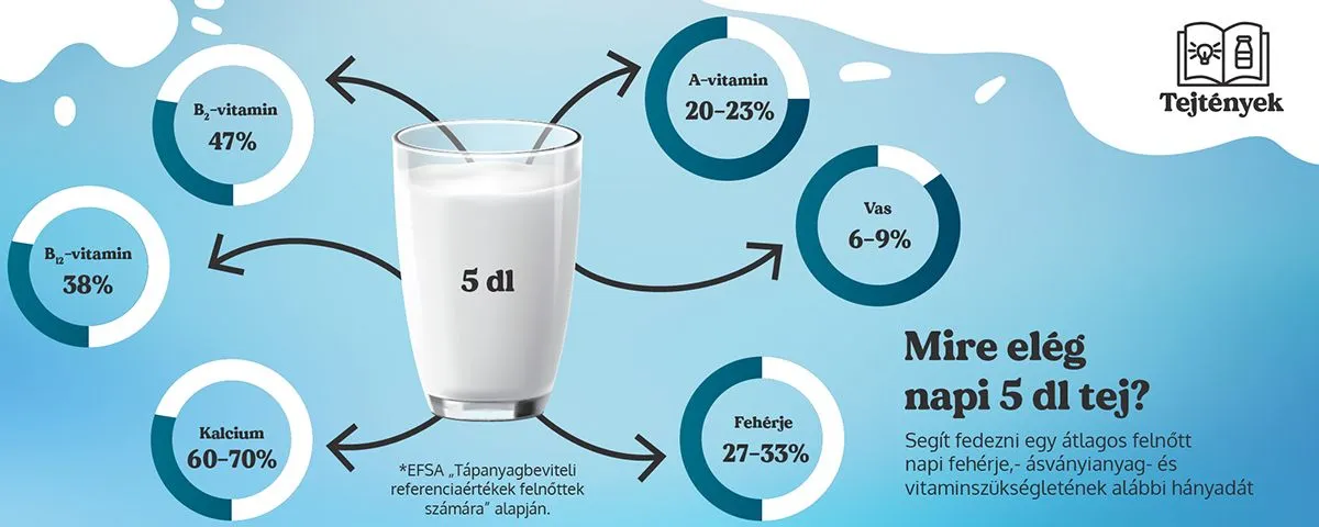 Erre elég napi 5 dl tej /Grafika: Tej Szakmaközi Szervezet és Terméktanács