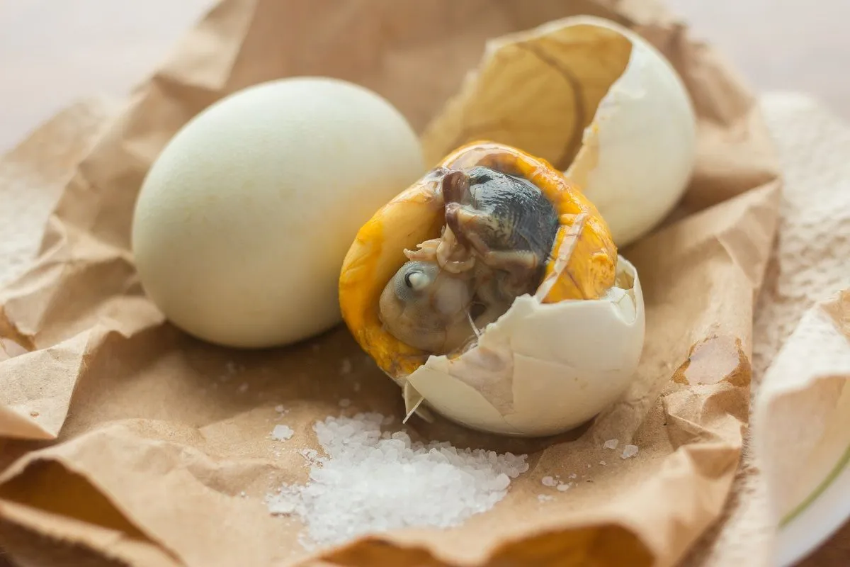 Balut, a főtt kacsaembrió /Fotó: Shutterstock