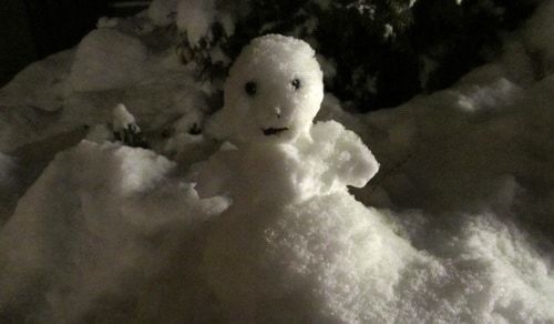 A hóembert szerintem a szomszéd gyerekek építhették...:-)