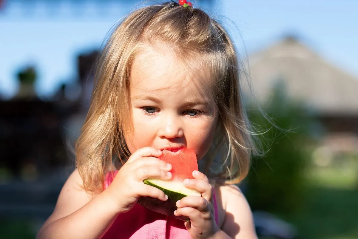 A görögdinnye-allergia leggyakrabban gyermekkorban jelentkezik /Fotó: Shutterstock