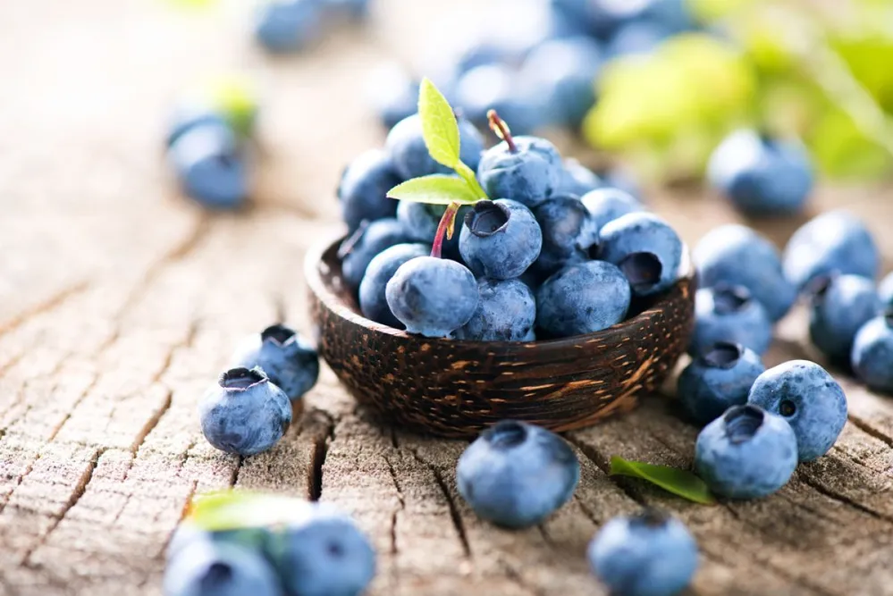 Egy adag áfonya annyi antioxidánst tartalmaz, mint amennyi 5 adag sárgarépában, almában, brokkoliban vagy sütőtökben megtalálható (Fotó: Shutterstock)