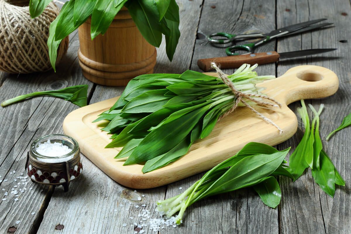 A medvehagyma sokoldalúan felhasználható főzéskor, sütéskor / Fotó: Shutterstock