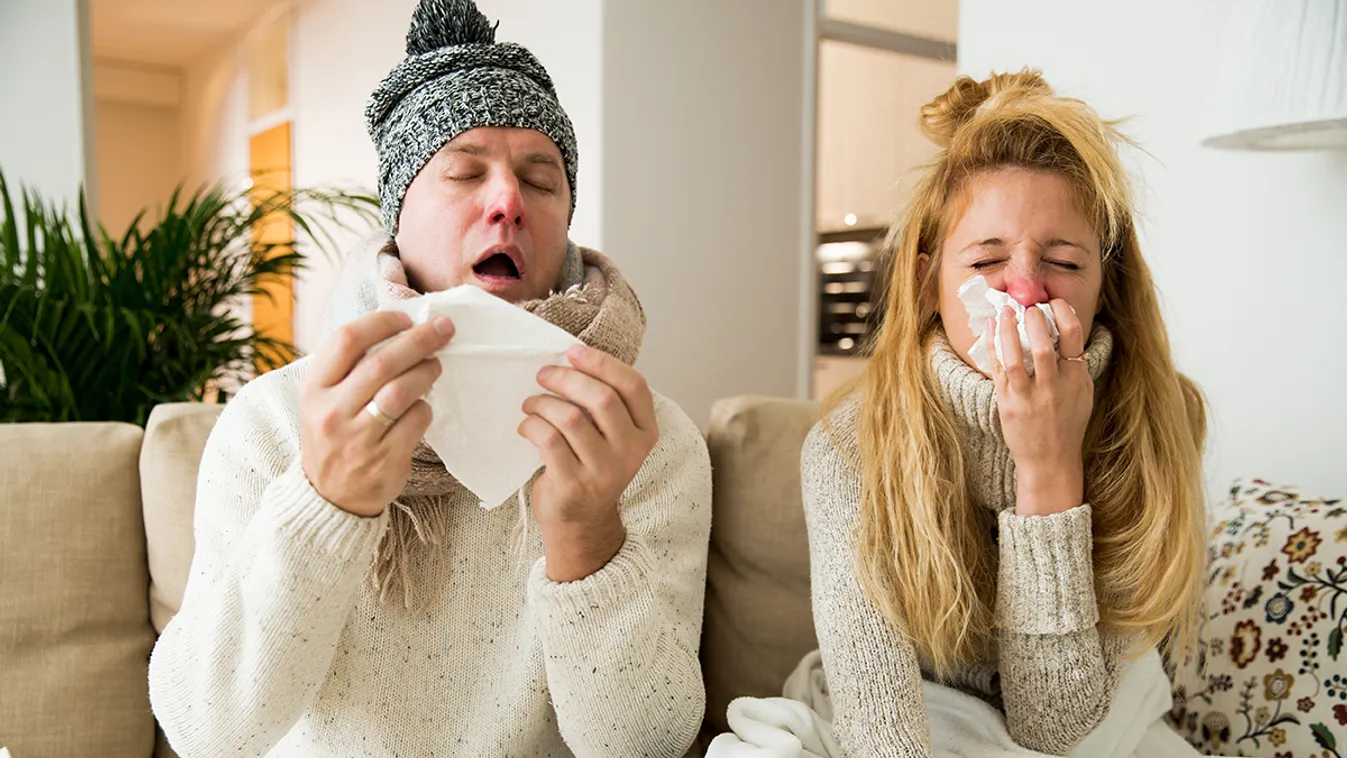 Ezek a legjobb csodaszerek megfázás ellen /Fotó: Shutterstock