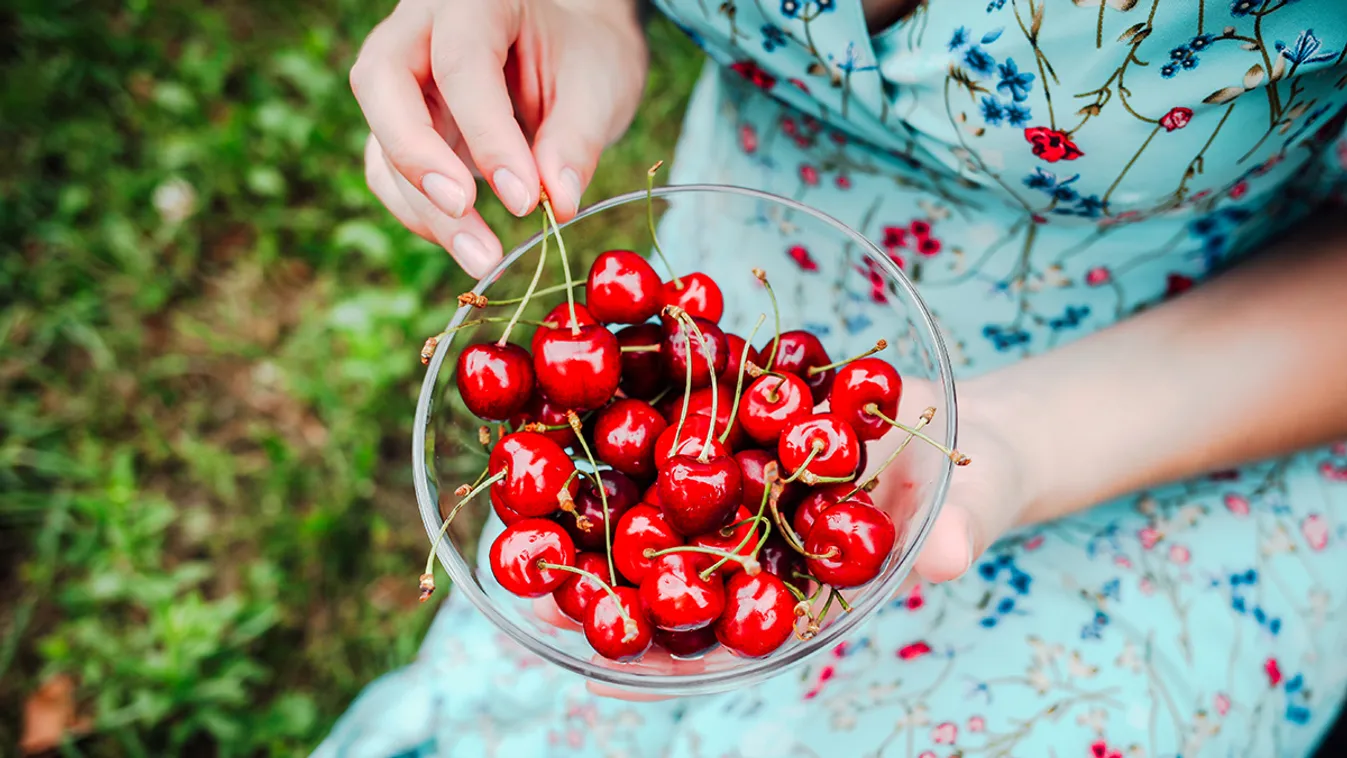 Így hat a meggy a szervezetünkre /Fotó: Shutterstock