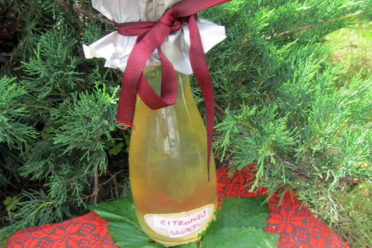 Citromfűszörp recept