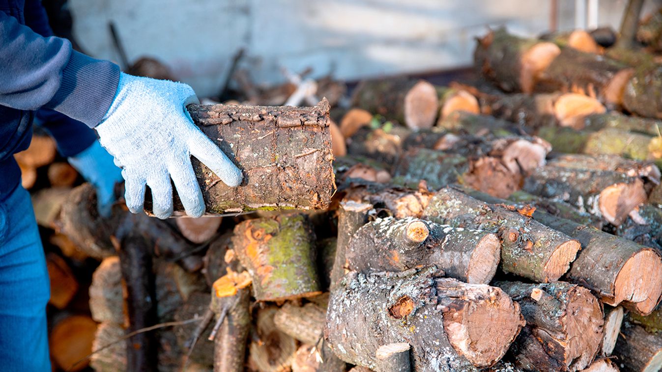 Ezek a lakossági tűzifagyűjtés szabályai /Fotó: Shutterstock