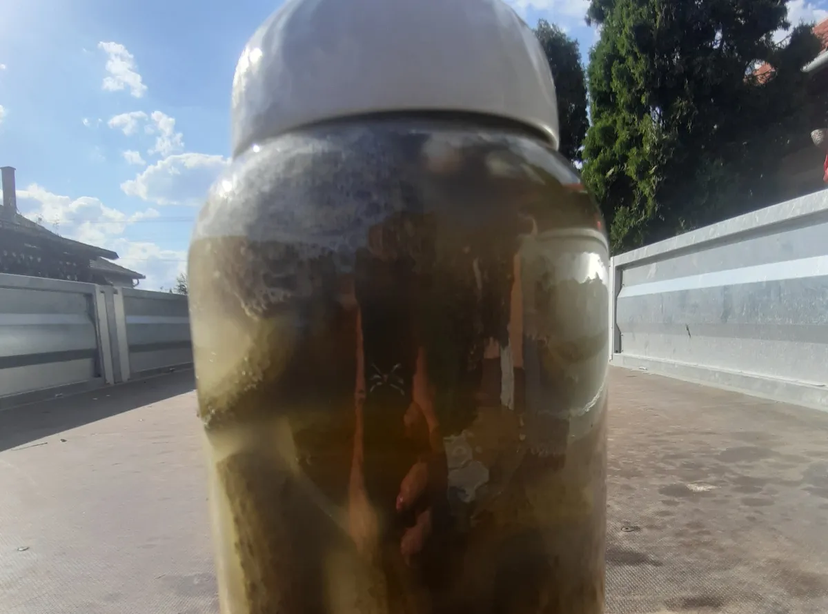 Egyszerű kovászos uborka  recept