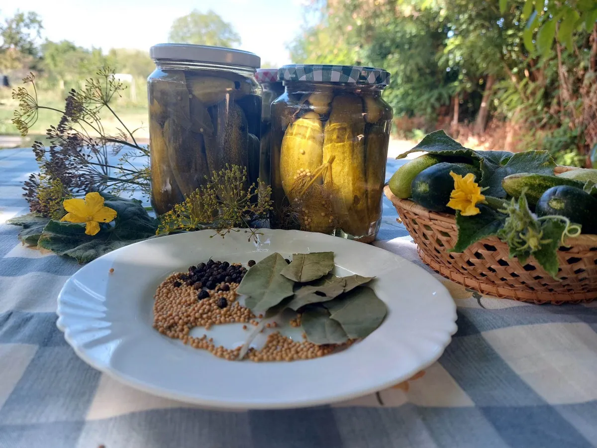 Ropogós csemege uborka recept