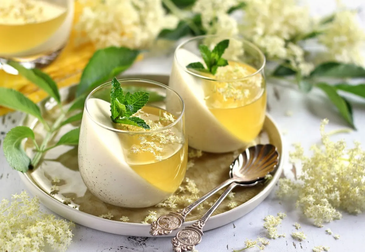 Bodzazselés panna cotta recept