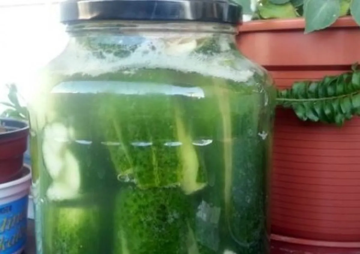 Fokhagymás kovászos uborka recept