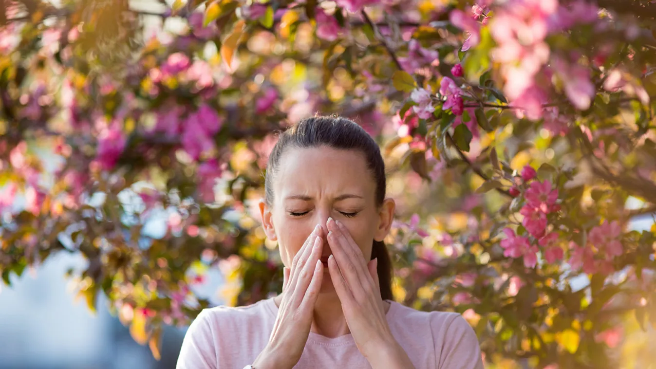 Allergia /Fotó: Shutterstock