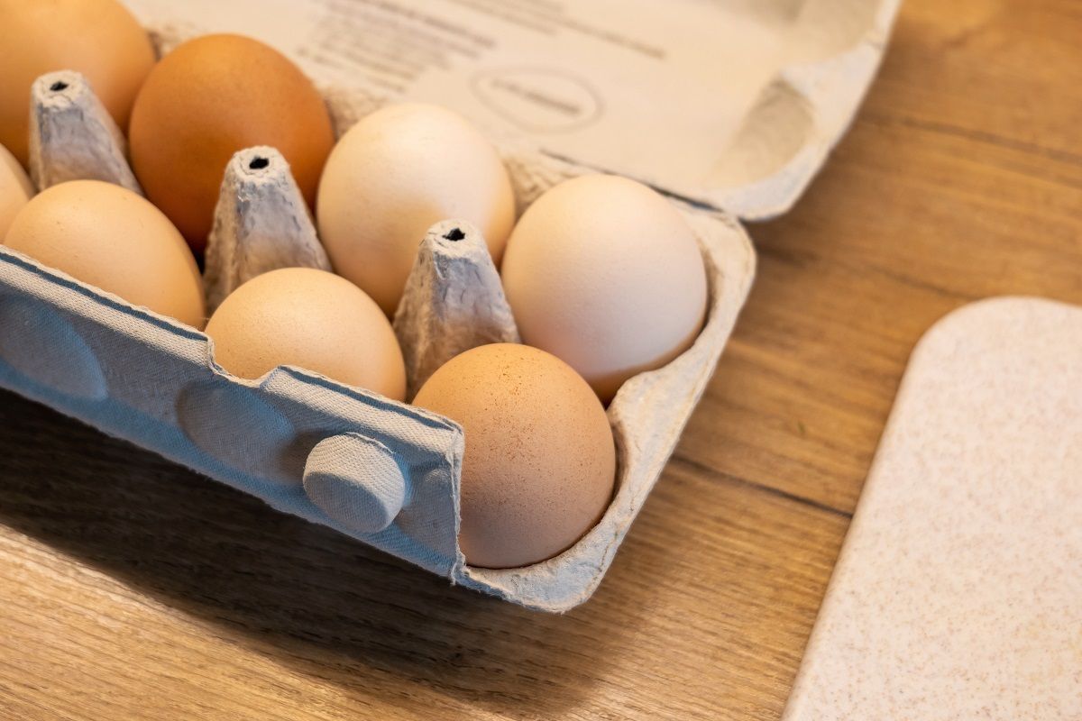 Így válaszd ki a tökéletes, finom tojást a boltban /Fotó: Shutterstock