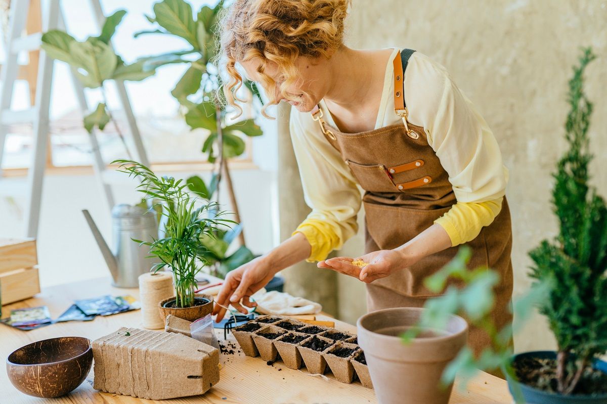 Figyeljünk arra, hogy a mag mindig nedves, laza szerkezetű talajba kerüljön.  / Fotó: Shutterstock