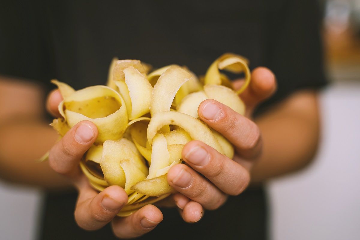 A szemétbe kerülő krumpliból készülhet a vegán bőr /Fotó: Shutterstock