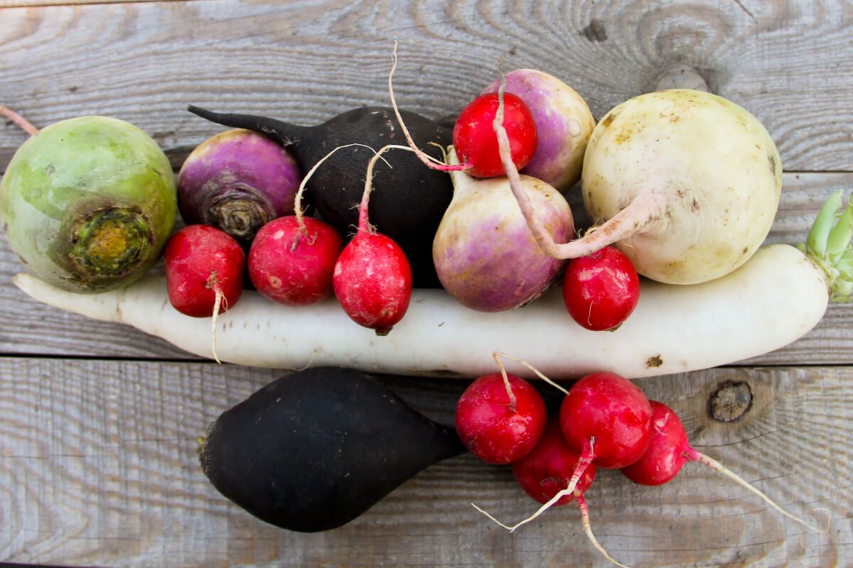 Sok retekfajta létezik, mindegyik kitűnő választás (Fotó: Shutterstock)