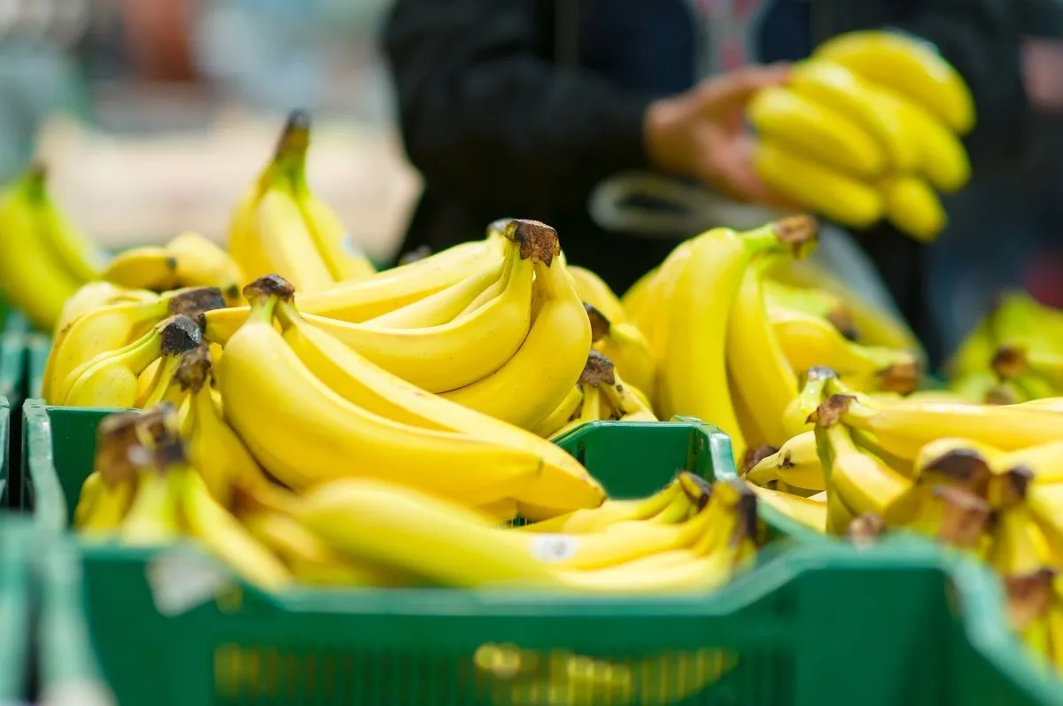 Több milliárd forintnyi kokaint találtak több német Lidlben (Illusztráció) /Fotó: Shutterstock