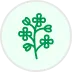 Mustár