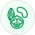 Diófélék