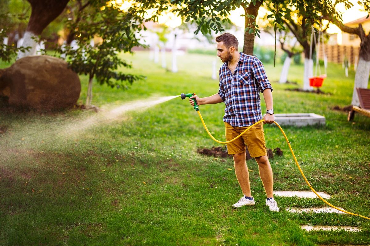 Figyeljünk, hogy bőséges vizet kapjanak a növények / Fotó: Shutterstock