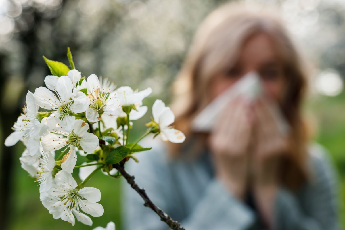 A pollenallergia sokak életét megnehezíti / Fotó: Shutterstock