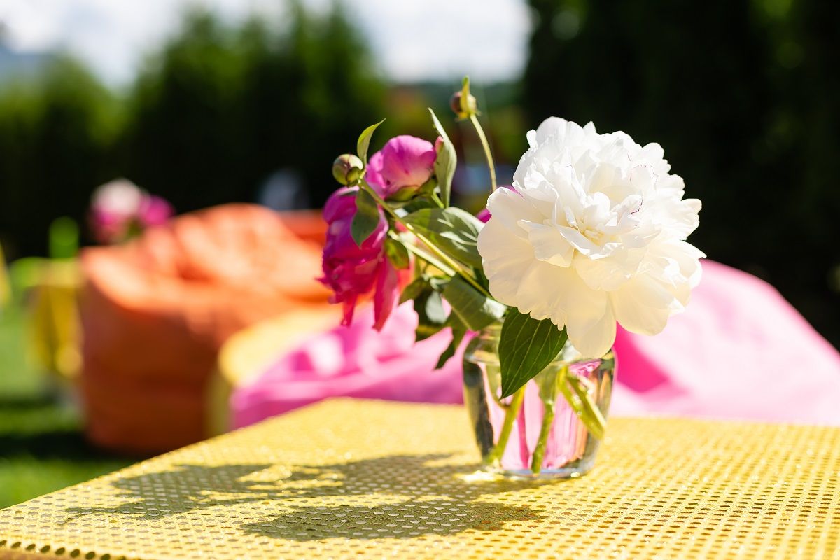 Minden nap vágjuk vissza a szárakat ferde vágással, így hatékonyabban tudják felvenni a tápanyagokat. (Fotó: Shutterstock)