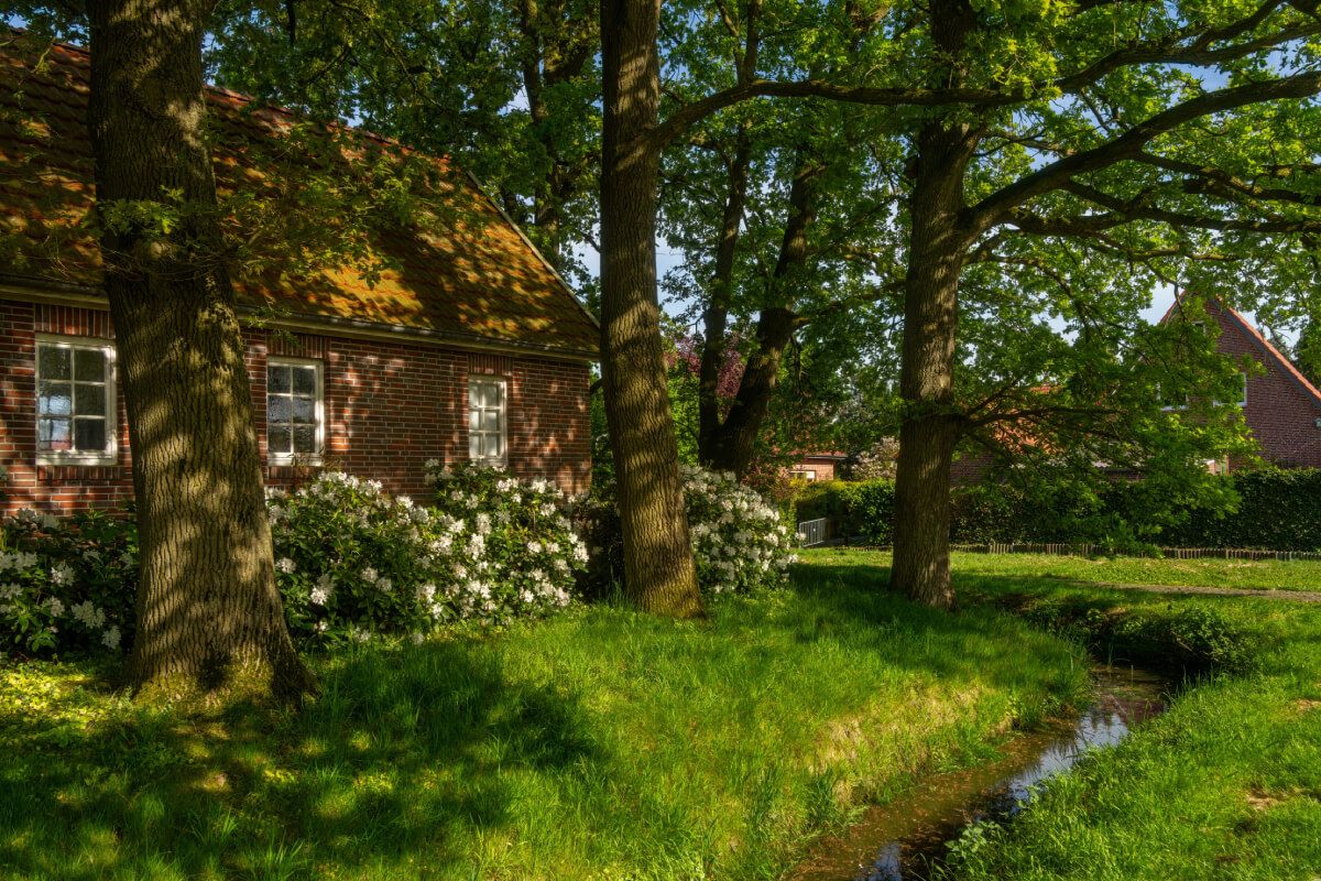 Az árokban is nyírni kell a füvet, és biztosítani a víz akadálymentes folyását /Fotó: Shutterstock