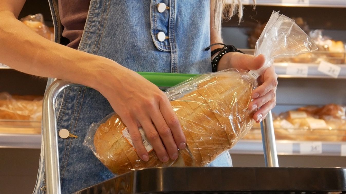 Patkánydarabokat találtak a japán szeletelt kenyérben (Illusztráció) /Fotó: Shutterstock