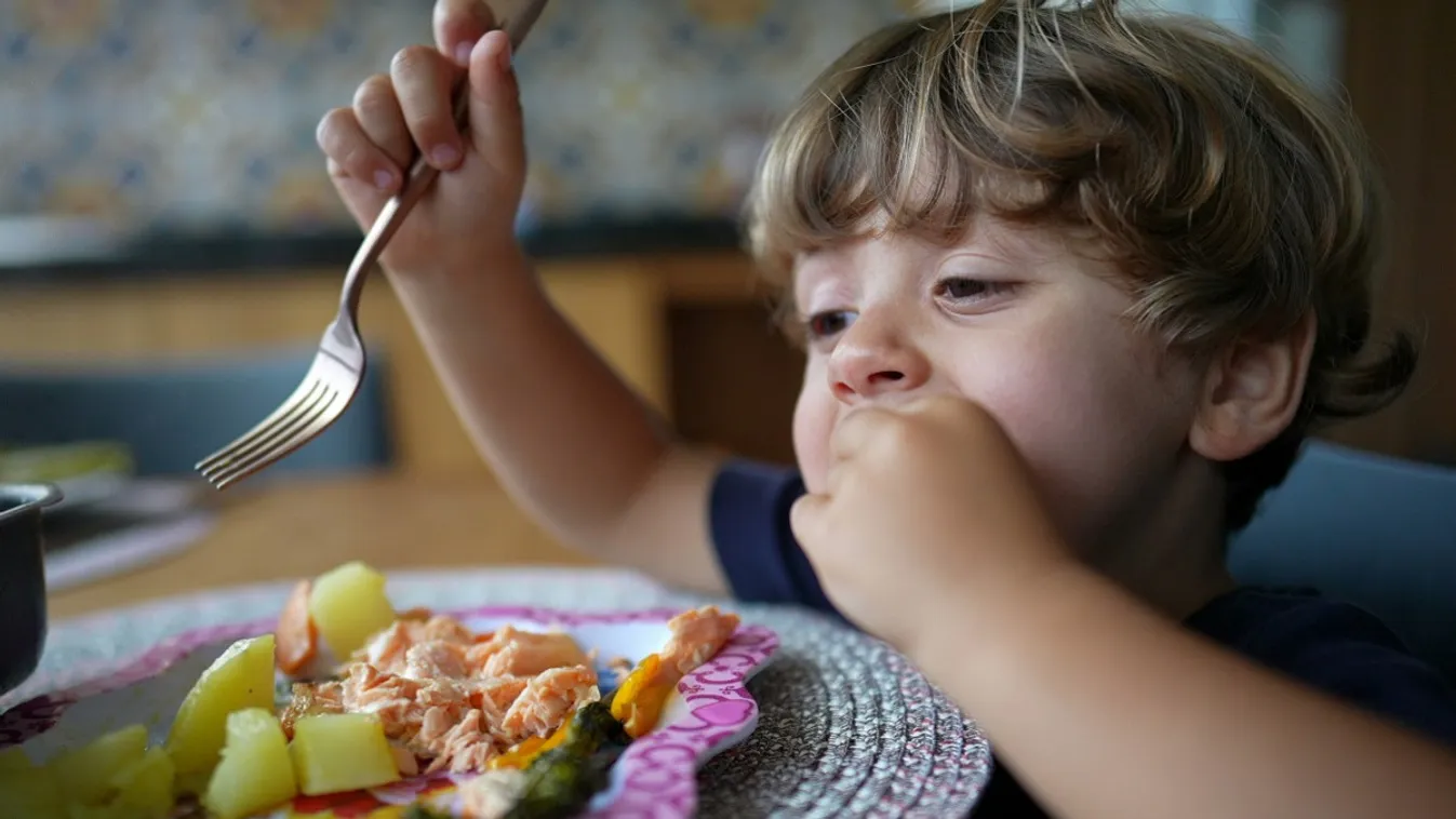 A gyerekkorban hallott mondatok hathatnak az étkezési szokásokra /Fotó: Shutterstock