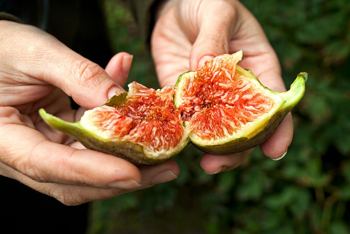 A termés minőségét is befolyásolja a locsolás /Fotó: Shutterstock