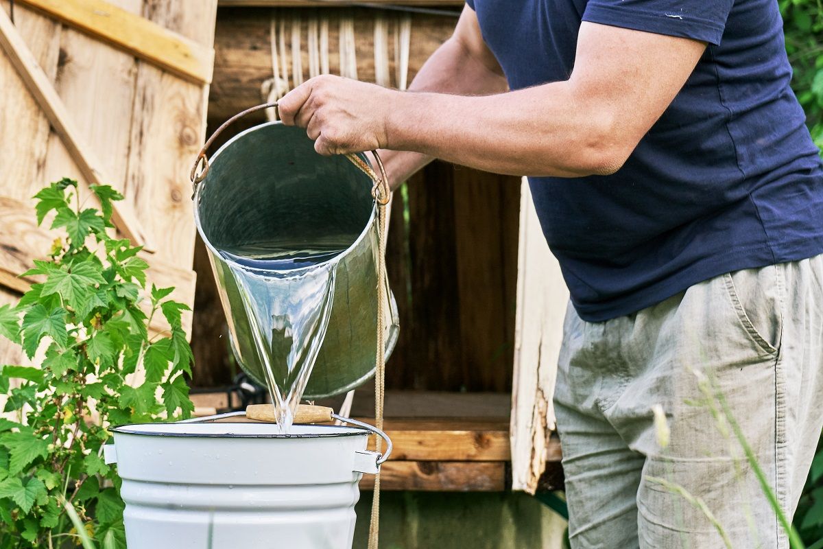 Man,Pours,Into,A,Bucket,Fresh,Water,Just,Taken,From