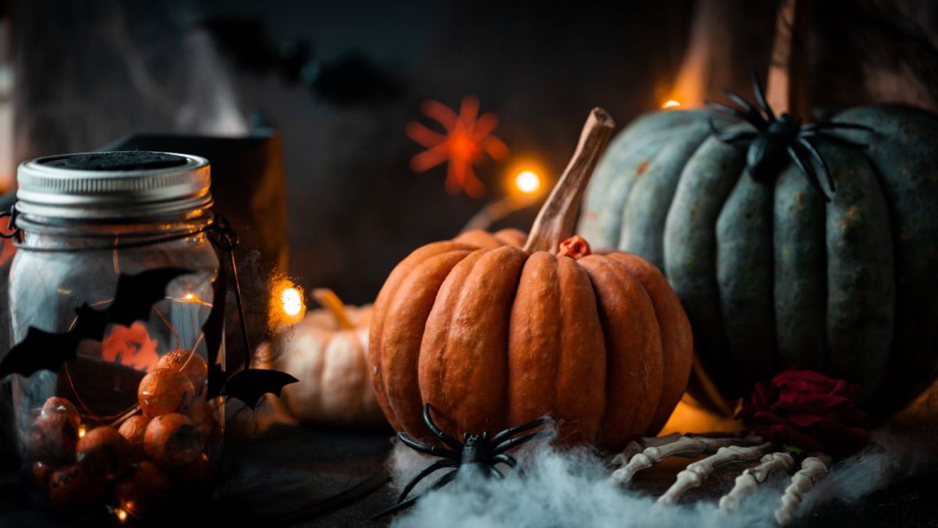 Tudod, miért a fekete és a narancssárga halloween színe?