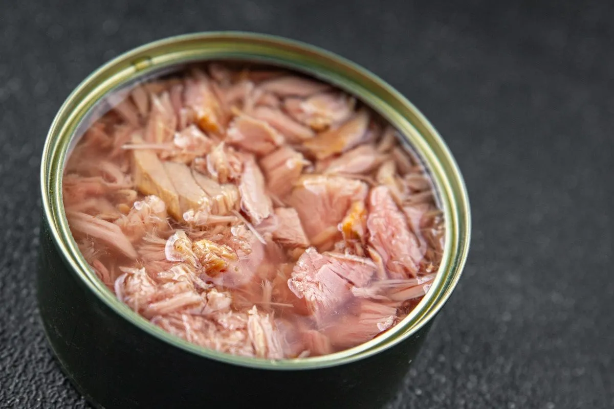 Tuna,Natural,Canned,Food,Fish,Seafood,Fresh,Delicious,Healthy,Eating