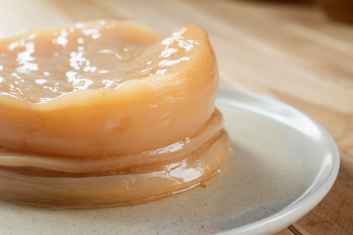 A kombucha alapja a fekete tea, amiből a scoby nevű gombakultúra készít fermentált italt