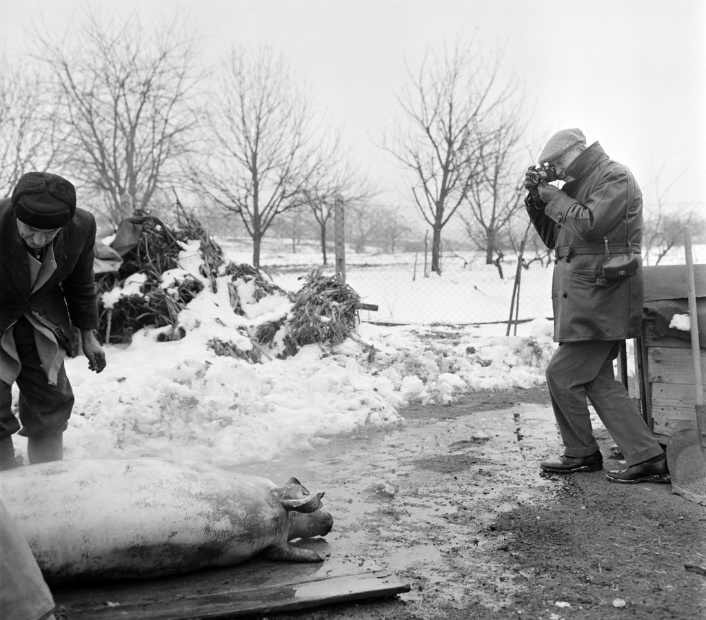 Fortepan  Bojár Sándor_1964