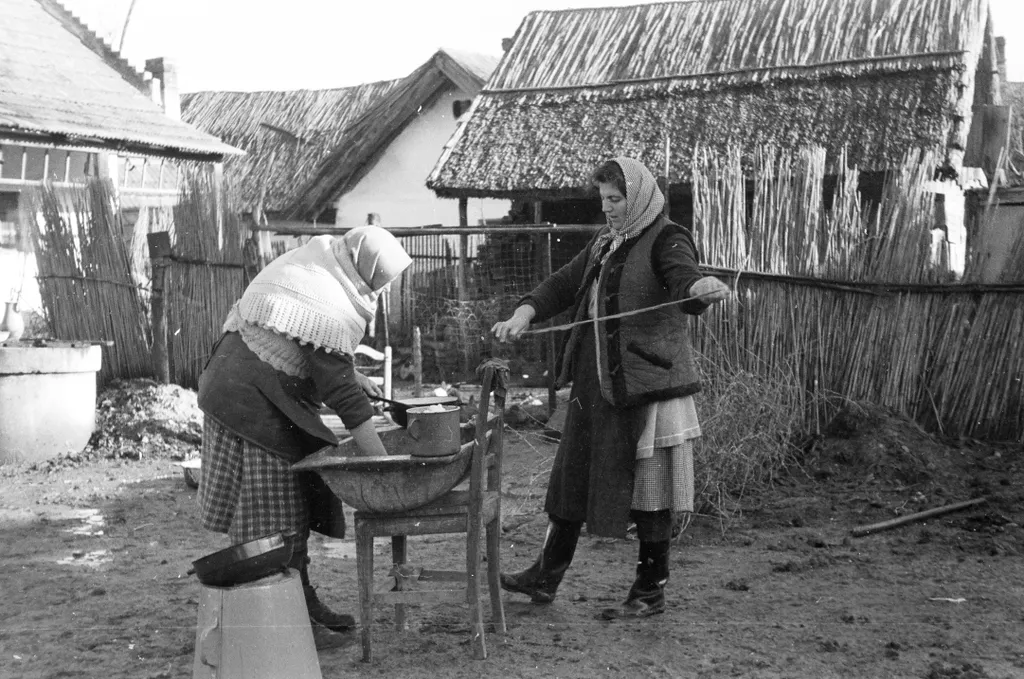 Fortepan  Tóth Ákos_1961