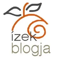 Zentai Ildikó szerző profilképe