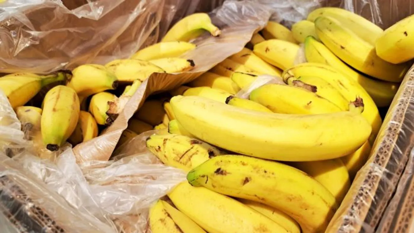 Hátborzongató! Az Aldi egyik vásárlója rémisztő dolgot talált a banánok között