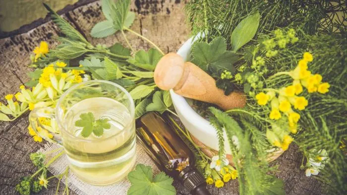 A természet aranyszínű csodája: 5 meglepő dolog, amire jó a kankalin